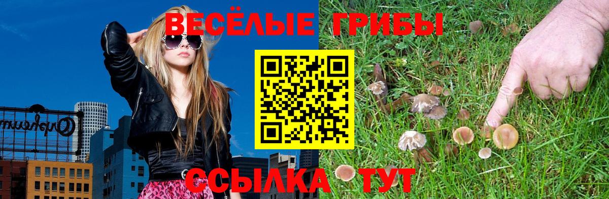 Галлюциногенные грибы Magic Shrooms Трёхгорный