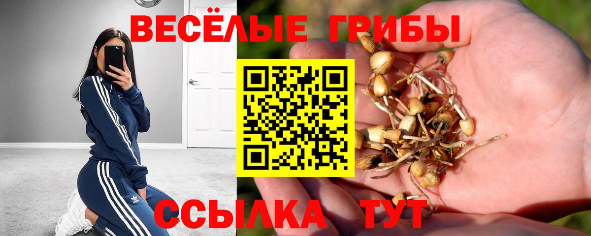 Псилоцибиновые грибы GOLDEN TEACHER  Галлюциногенные грибы мухоморы  Вход с VPN  Трёхгорный 